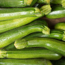 Close-up of green zucchinis with stems