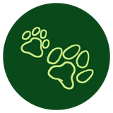green pet paws outline illustration
