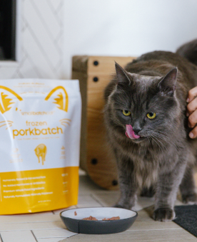 Cat licking its lips next to a bag of cat food and a bowl on a wooden floor.