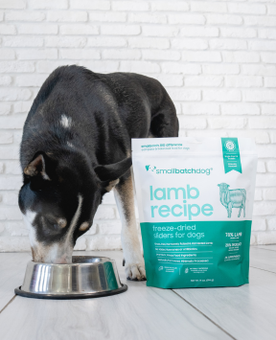 Dog next to a bag of Smallbatchl lamb dog food on a white floor with a brick wall behind.