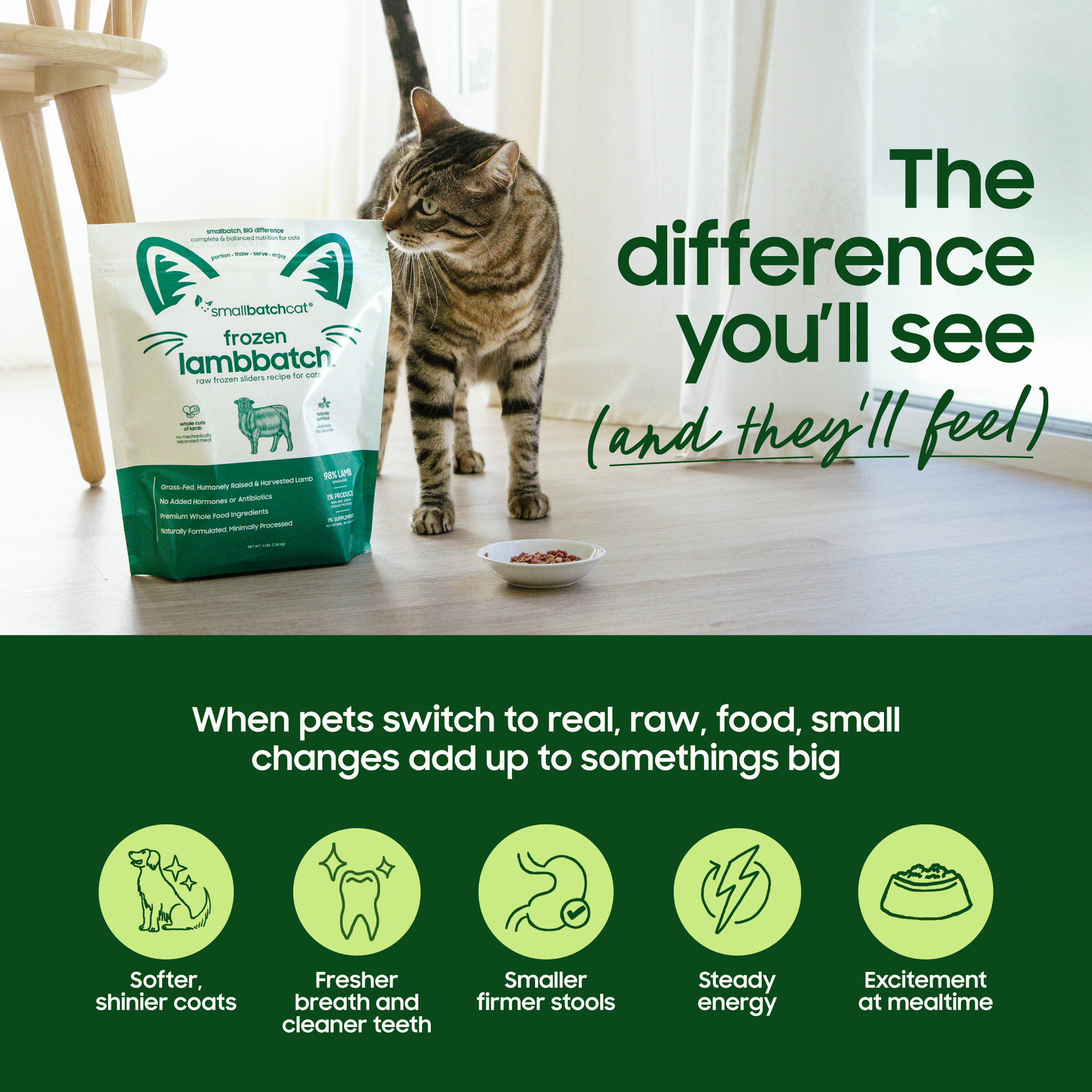 Frozen Raw Beef Base Blend - Dog Food