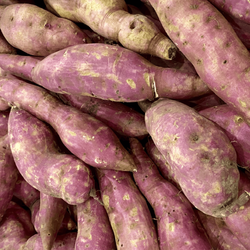 Close up view of many whole sweet potatoes.