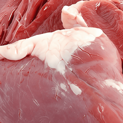 Close up view of raw turkey hearts.