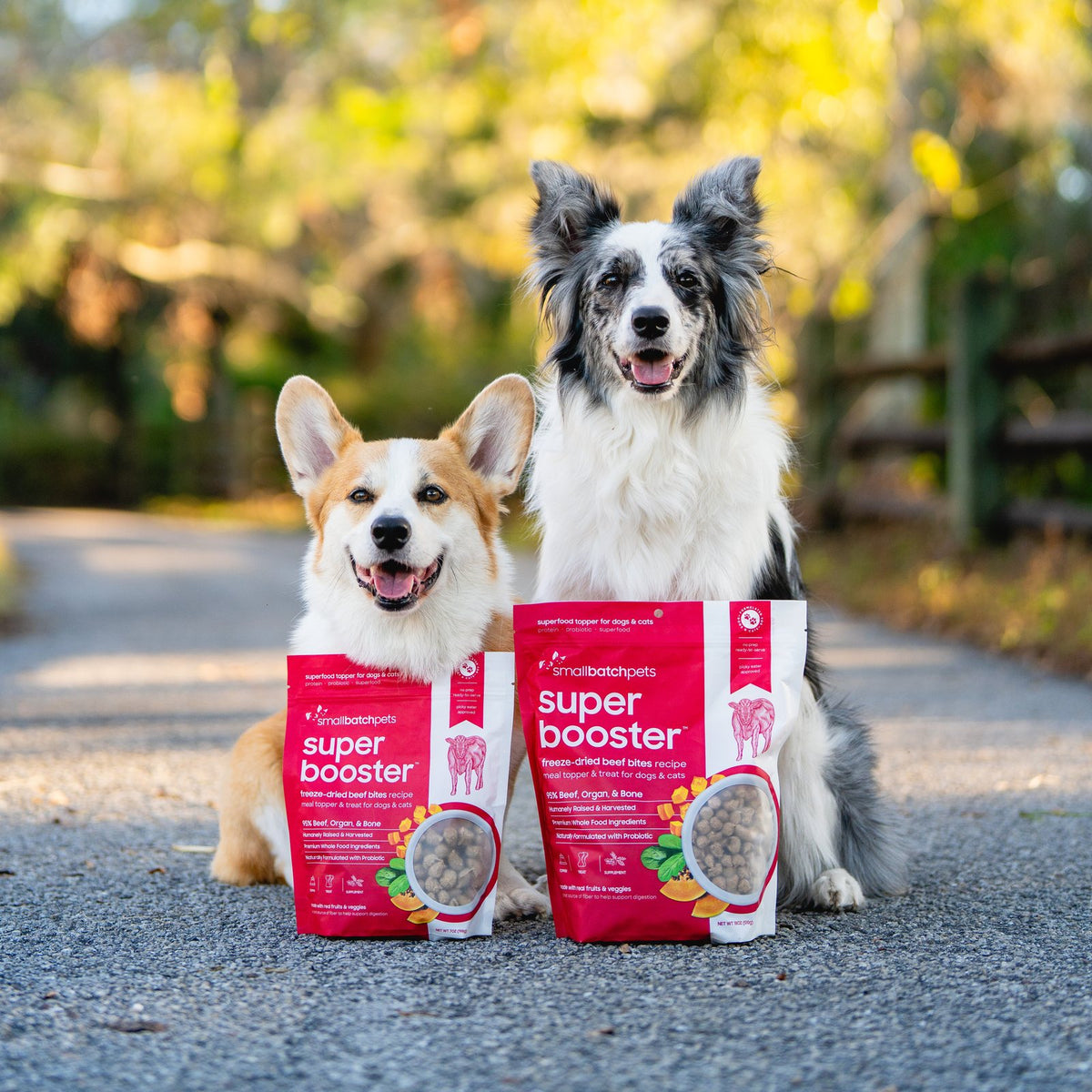 A corgi and a border collie sitting on a path behind two bags of Smallbatch Beef Super Boosters