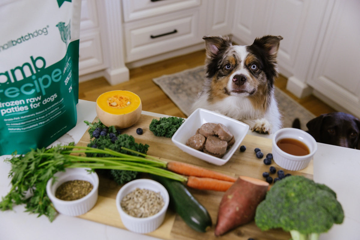 Australian shepherd at a kitchen counter with a Smallbatch frozen lamb bag and fresh ingredients