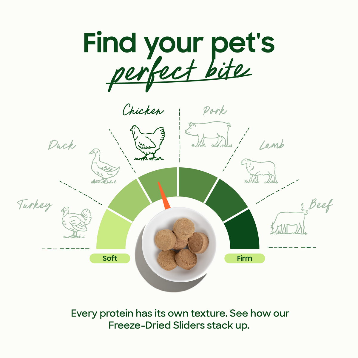 Texture chart for Freeze-Dried Sliders from soft to firm: turkey, duck, chicken, pork, lamb and beef, with a bowl of sliders.