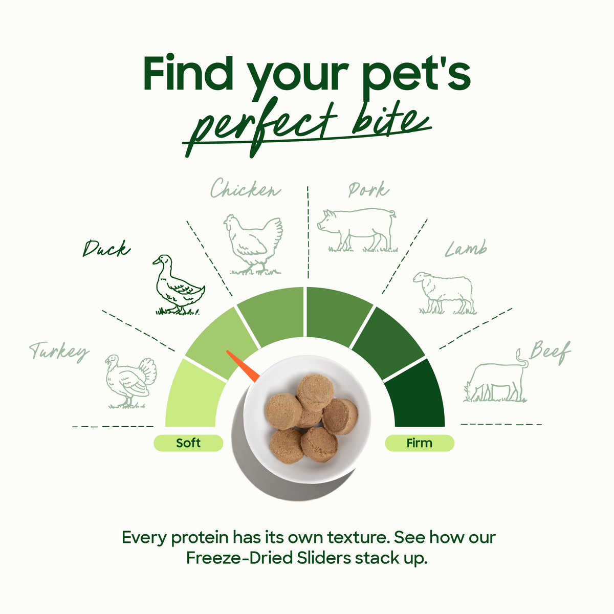 Texture chart for Freeze-Dried Sliders from soft to firm: turkey, duck, chicken, pork, lamb and beef, with a bowl of sliders.